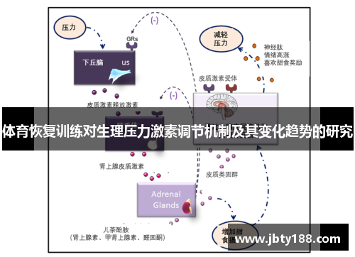 体育恢复训练对生理压力激素调节机制及其变化趋势的研究
